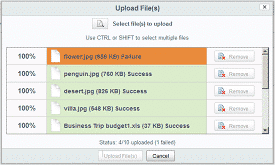 Multiple File Upload